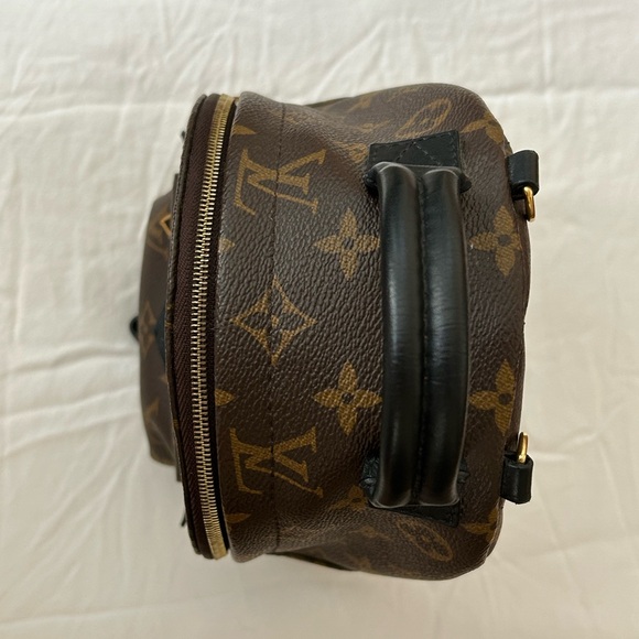 Palm Springs Monogram Mini Bag - Picture 5 of 16